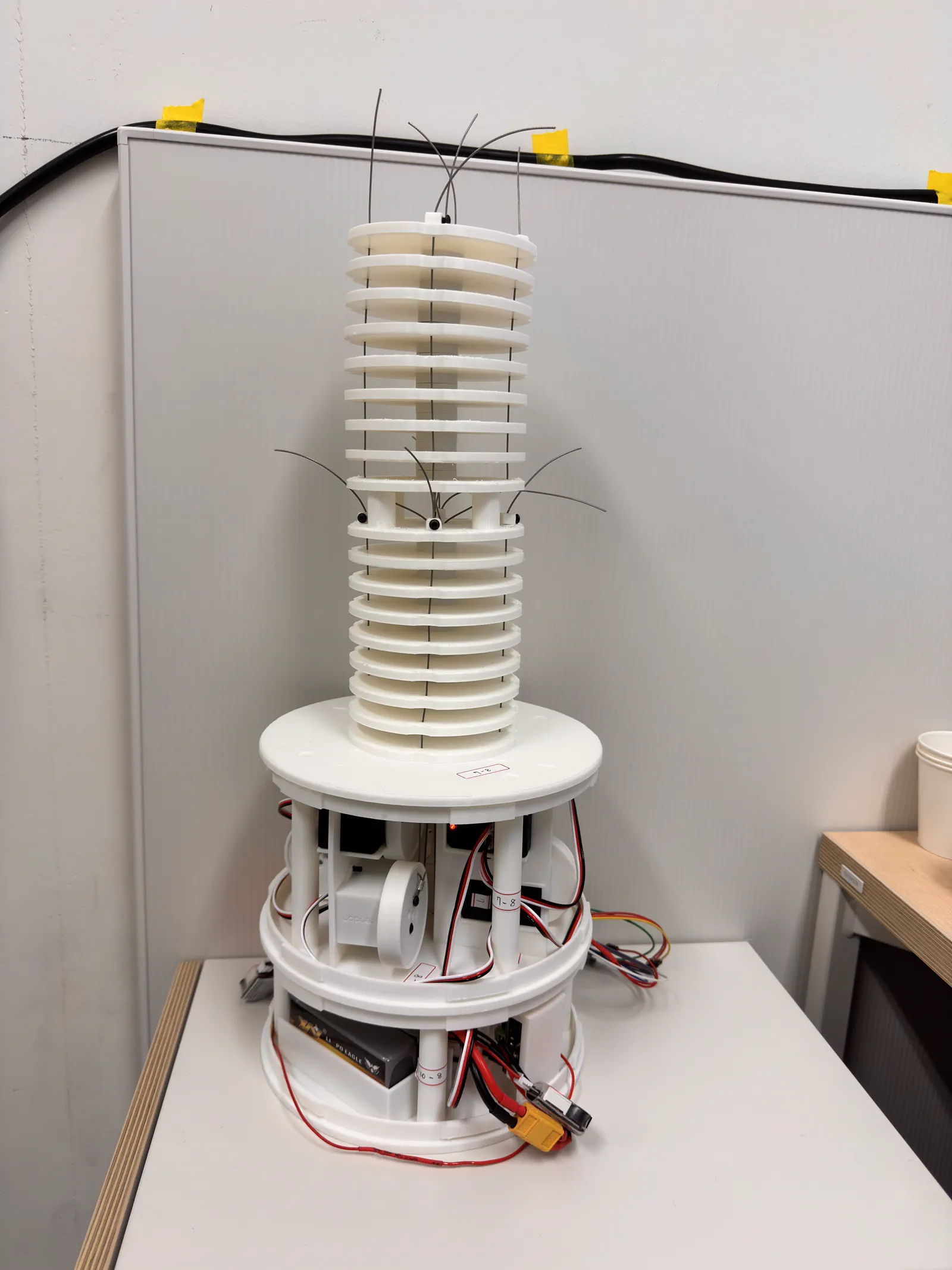 Completed two-section tendon-driven continuum robot
